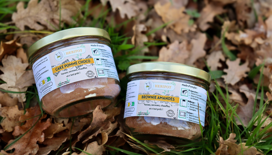 Pourquoi choisir le bocal en verre recyclable ?